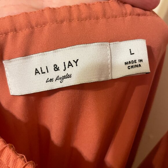 💃 Ali & Jay | Soho House Terra Cotta Pleated Halter Midi Dress Large NWT - Picture 9 of 10